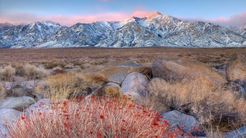 snow, environment, sky, winter, dry grass, no people, travel destinations, plant, tranquil scene, snowcapped mountain, beauty in nature, mountain peak
