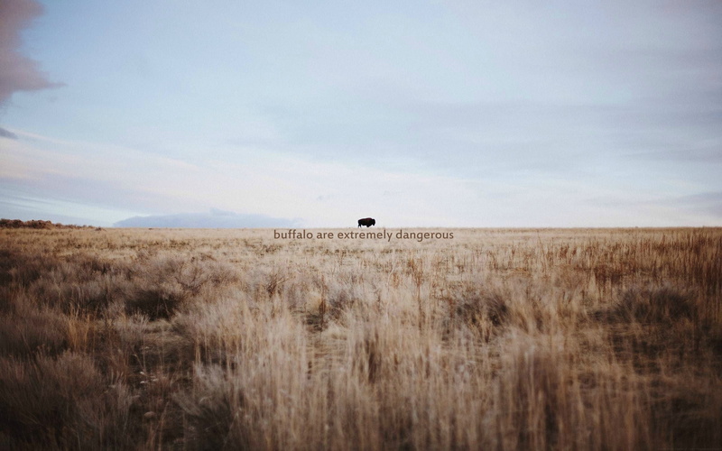 non-urban scene, 2K, cloud - sky, sky, wooden, grass, prairie, plant, board, dry grass, scenics - nature, misattributed quotes, tranquil scene, nature