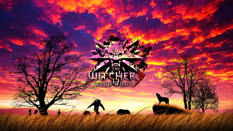 silhouette, wolf, The Witcher 3: Wild Hunt, dry grass, 1080P, Geralt of Rivia, sunset, The Witcher, clouds