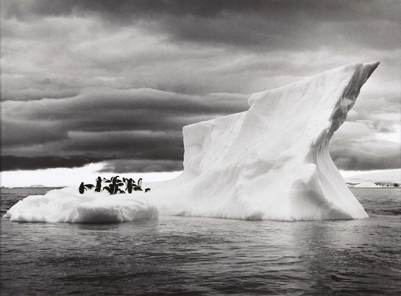 nature landscape animals ice penguins iceberg monochrome sebastiao salgado antarctica sea clouds photography, water, waterfront, ice, cold temperature