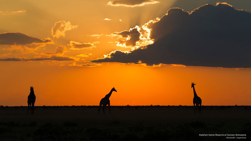 game, sunset, Africa, kalahari, reserve, 2K, botswana