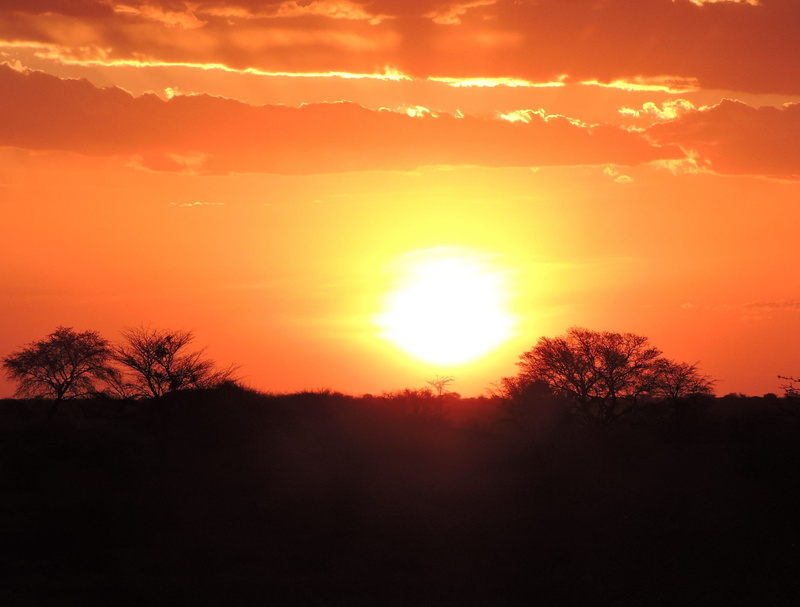 sun, cloud - sky, sky, romantic sky, scenics - nature, tranquility, plant, orange color, tree, 1080P, outdoors, namibia, environment, kalahari desert