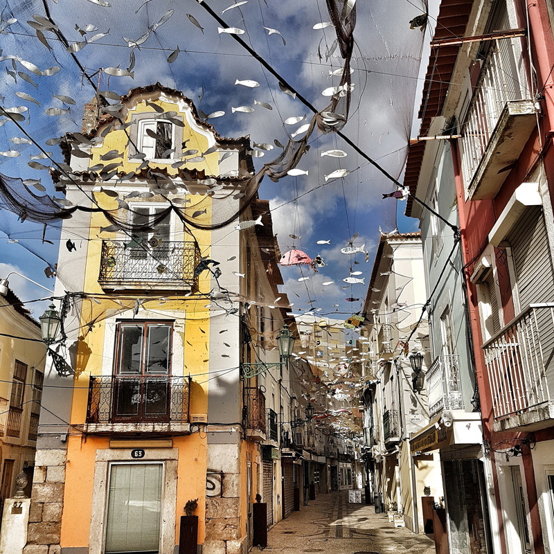 window, surrounded, 5K, nature, setúbal, built structure, day, portugal, pathway, low angle view, buntings, building exterior, apartment, alley, sky, direction