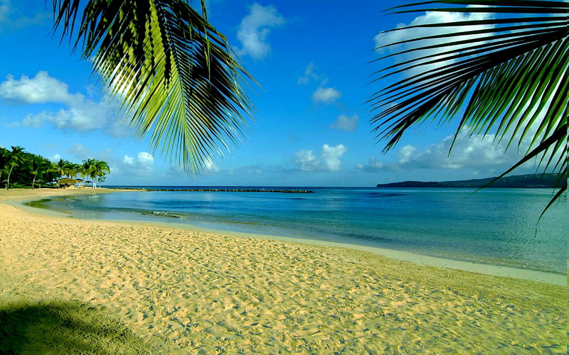 cuba, summer, beach, 2K, palms