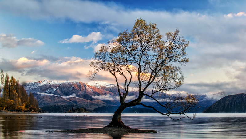 tranquility, 5k, winter, hd, outdoors, tree, snowcapped mountain, tranquil scene, 5K, environment, 4k, lake wanaka, sky, plant, cold temperature, no people