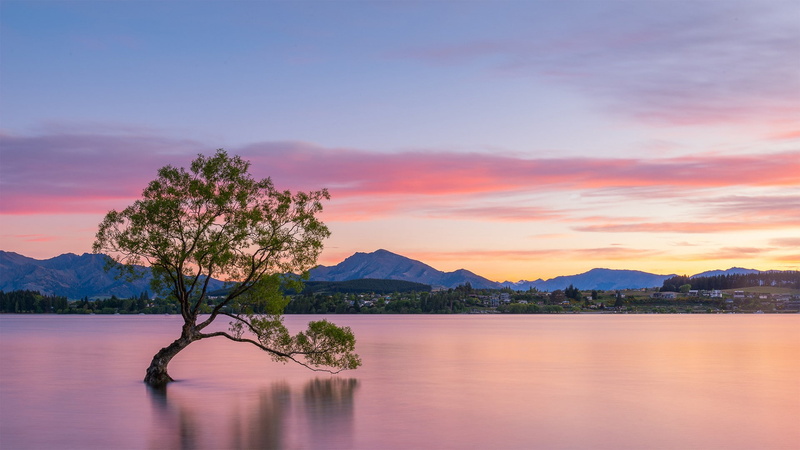 nature, no people, sunset, beauty in nature, water, cloud - sky, plant, sky, tranquility, landscape, mountain range, tranquil scene, idyllic, Lake Wanaka
