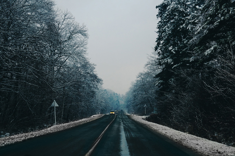 landscape, direction, diminishing perspective, road marking, trees, bare tree, no people, concrete, winter, transportation, vanishing point, clear sky