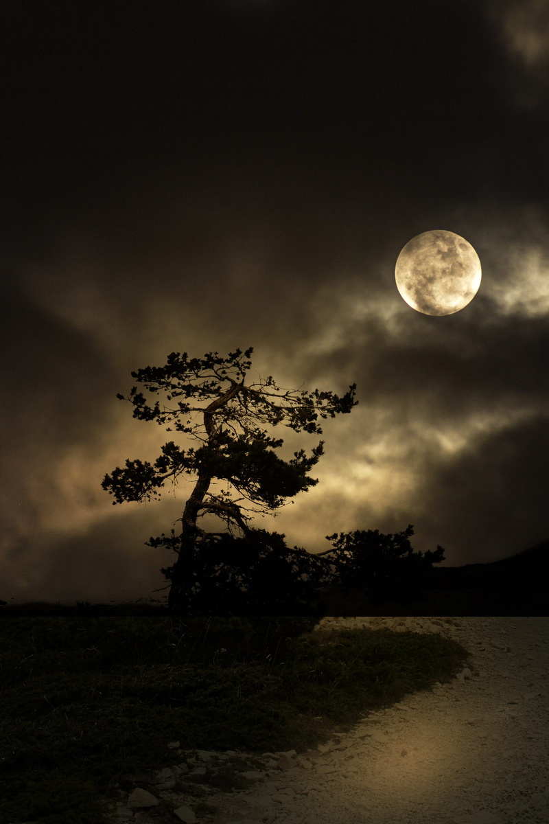no people, cloud - sky, mysterious, plant, full moon, Landscape, Road, tranquility, 2K, scenics - nature, beauty in nature, field, space, Night, outdoor life