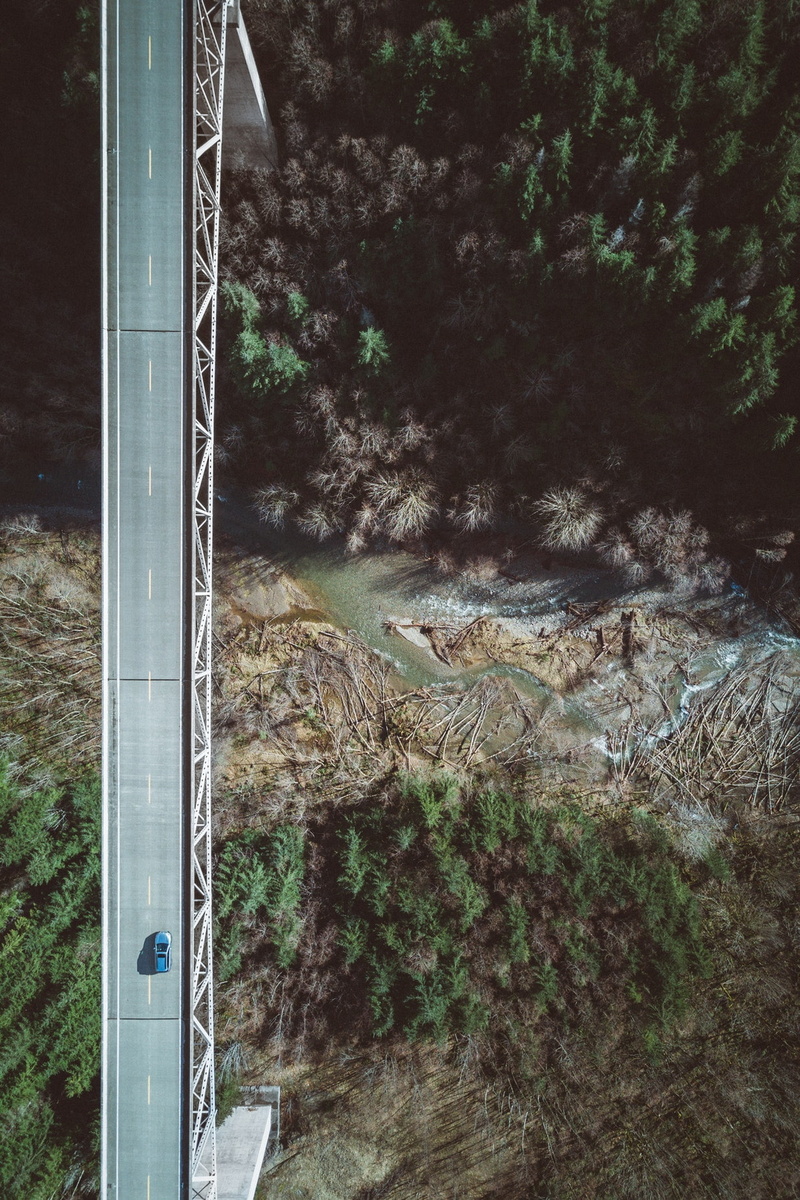 forest, trees, car, 720P, water, dead trees, portrait display, aerial view, USA, bridge