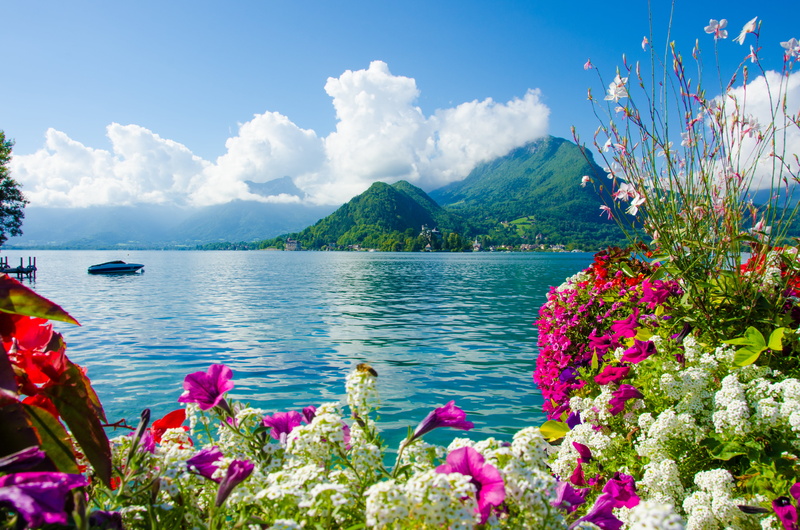 island, tranquil scene, travel Destinations, springtime, petaled, tranquility, sea, travel, multi Colored, plant, summer, no People, famous Place, boat
