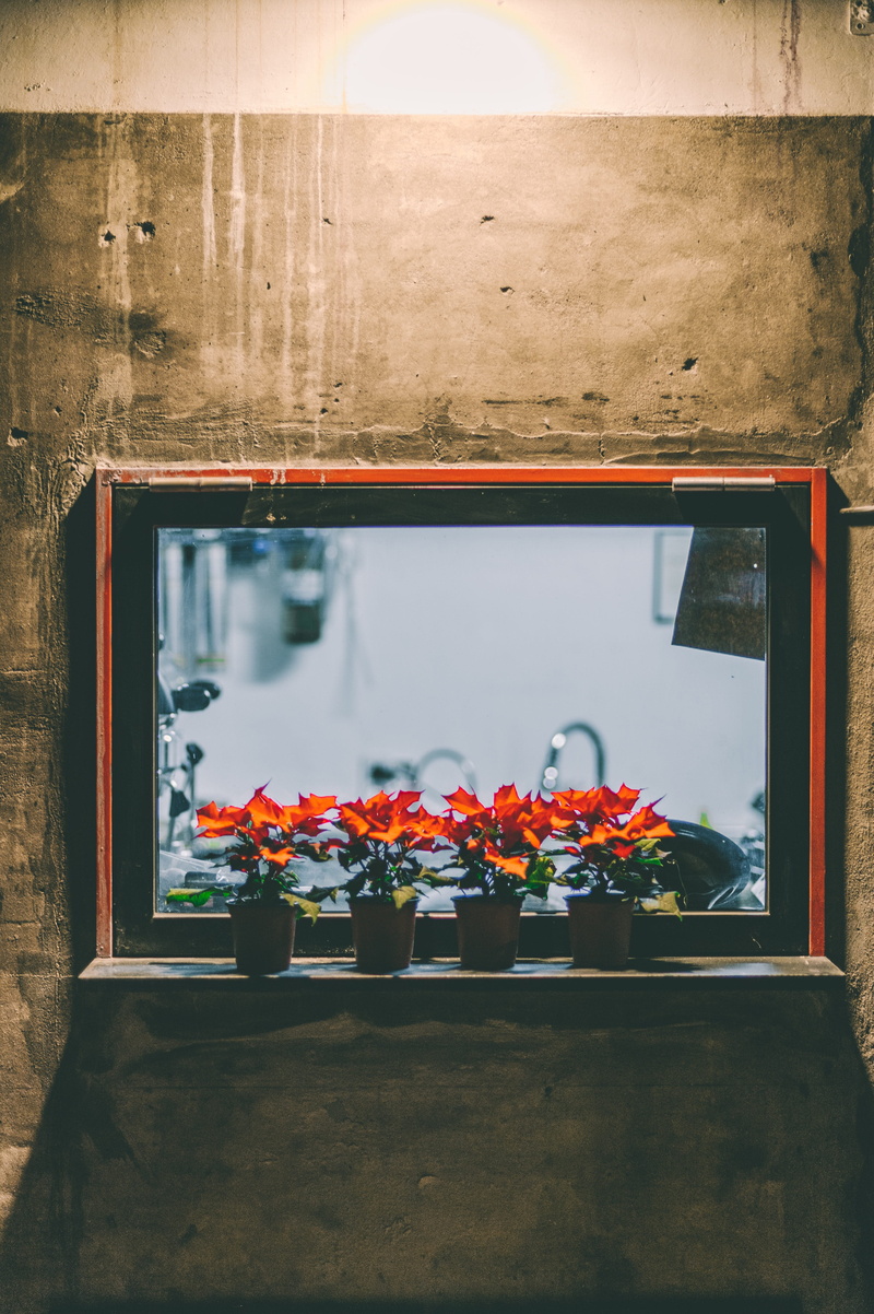 south korea, modern art, vase, reflection, 9-32 ihwa-dong, red, four, architecture, orange, glass - material, herbs, pot, growth, ihwa-dong, day, close-up
