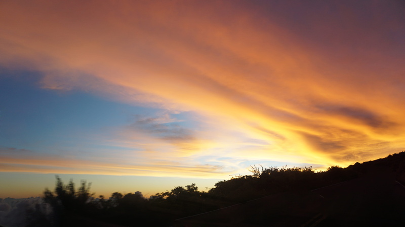 nature, dramatic sky, silhouette, kula, cloud - sky, plant, idyllic, no people, haleakala summit parking, sky, tree, growth, low angle view, romantic sky