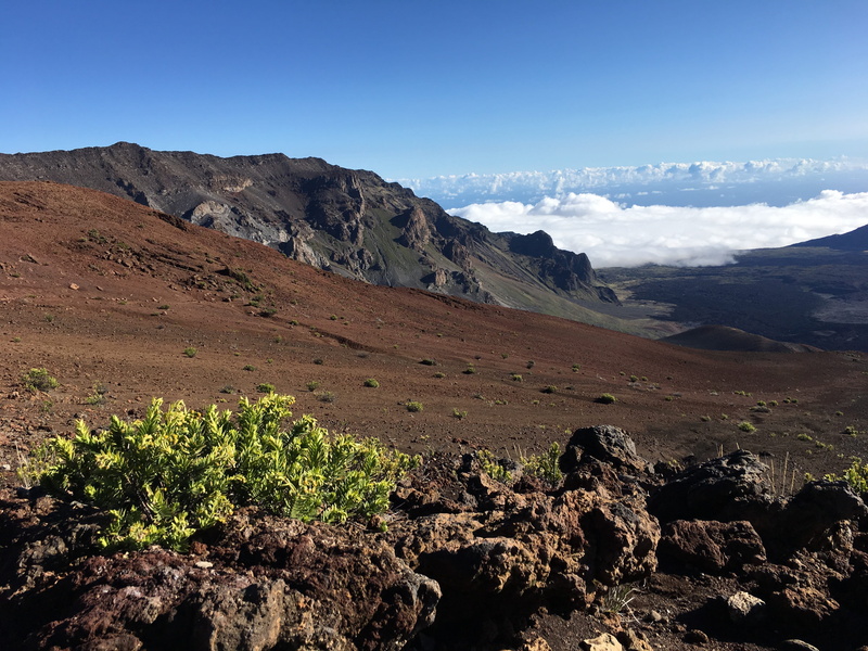 rock, volcano, tranquility, scenics - nature, rock - object, landscape, plant, non-urban scene, 4K, environment, mountain, climate, beauty in nature, solid