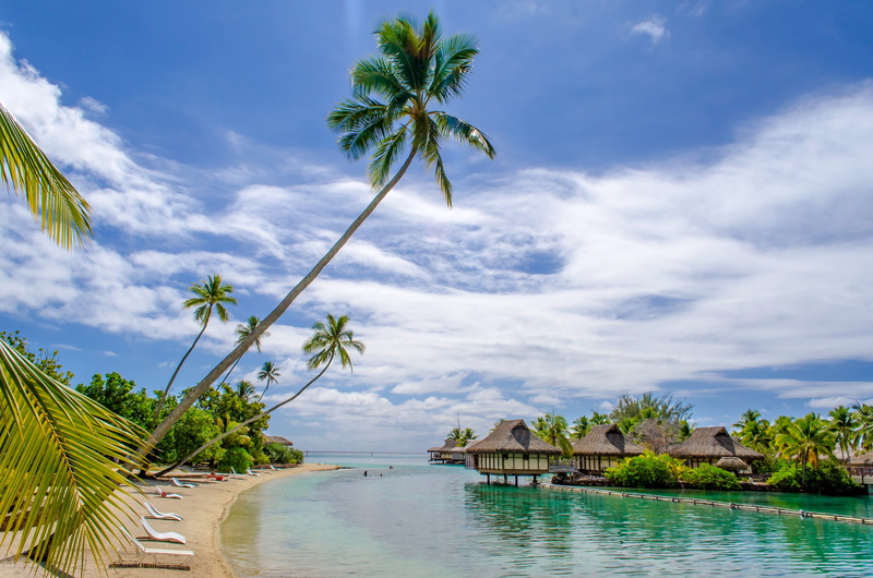 Sea, 4K, palms, summer, Ocean, hut, paradise, vacation, sunshine, tropical, another, beach