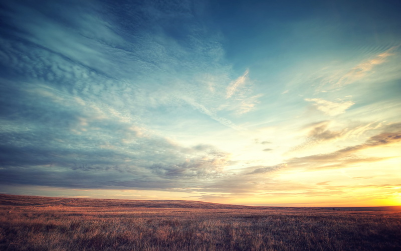 horizon, yellow, dramatic Sky, summer, orange Color, sunlight, forest, season, morning, greenfield, 2K, autumn, idyllic, landscaped, scenics, weather