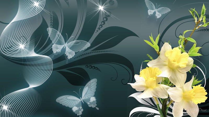 firefox persona, 3d and abstract, spring, teal, butterflies, flowers, smoke, summer, narcissus, 1080P