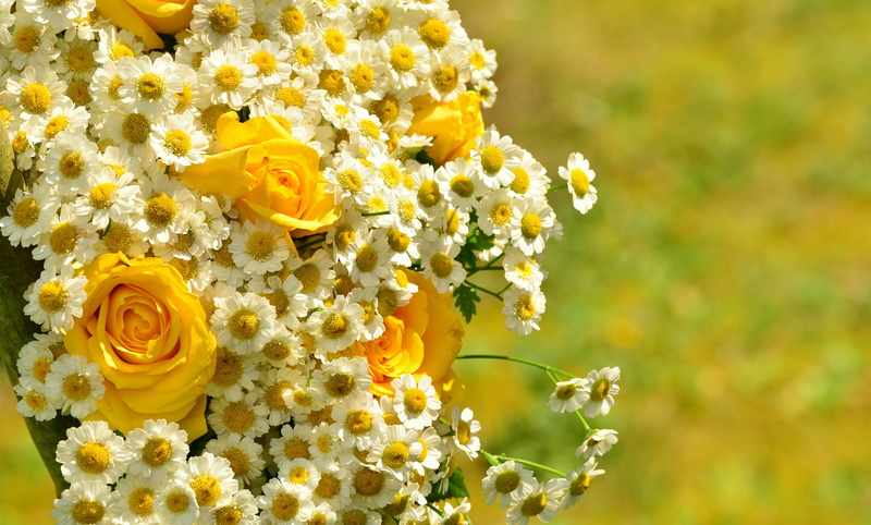 yellow roses, flower, plant, flower head, petal, flowers, day, focus on foreground, pollen, bouquet, fragility, inflorescence, rose, rose - flower, no people