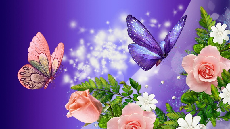 summer, flowers, glow, stars, nature and landscapes, roses, spring, 1080P, purple, butterflies, spots, fantasy, bright, peach