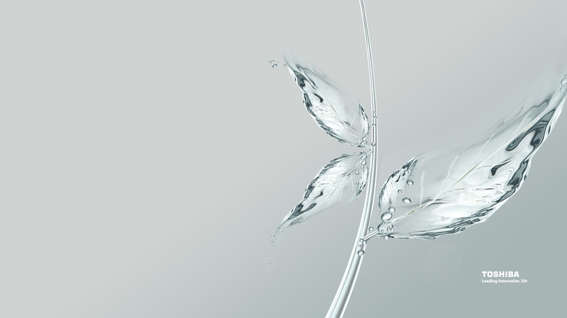 1080P, toshiba, waterleaf