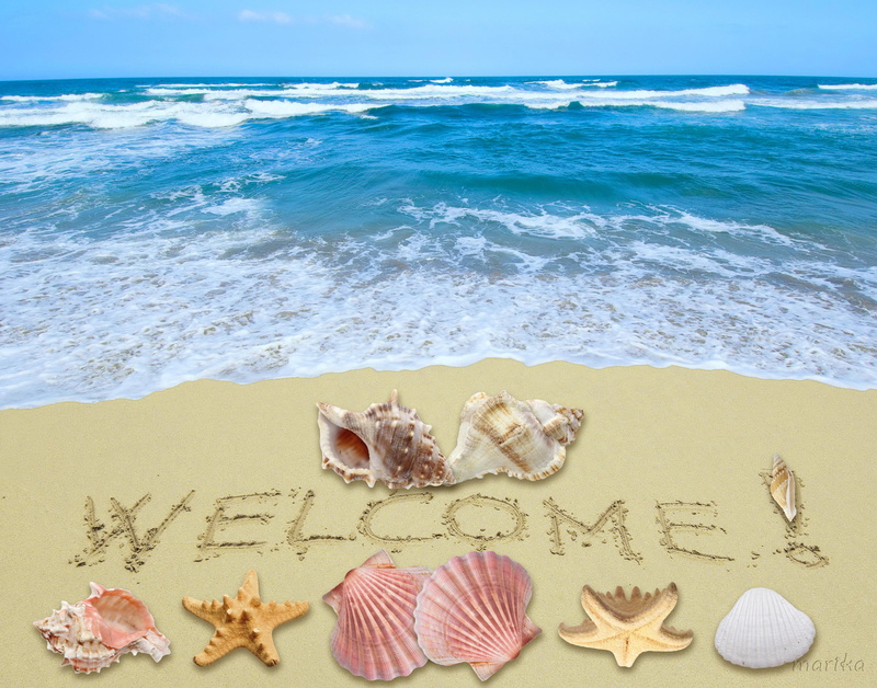 summer, beach, welcome, sunshine, sand, starfish, shells, 2K