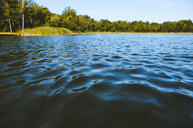 idyllic, nature, blue skies, ocean, sunny, outdoor, tranquil scene, non-urban scene, outdoors, surface level, lake, scenics - nature, trees, tranquility