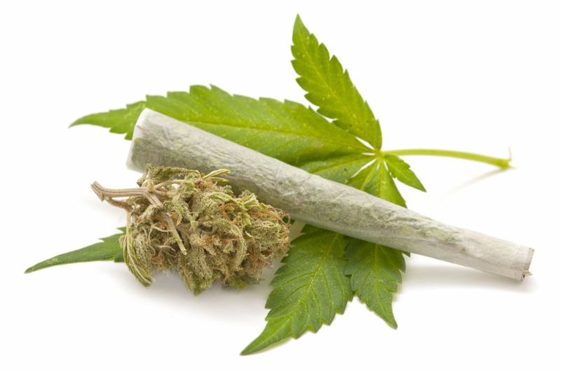 no people, green color, freshness, healthcare and medicine, weed, cut out, food and drink, herb, nature, medicine, alternative medicine, studio shot, marijuana