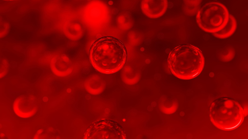 research, circle, water, close-up, no people, 4K, bubble, food and drink, biology, healthcare and medicine, indoors, education, science, blow, geometric shape