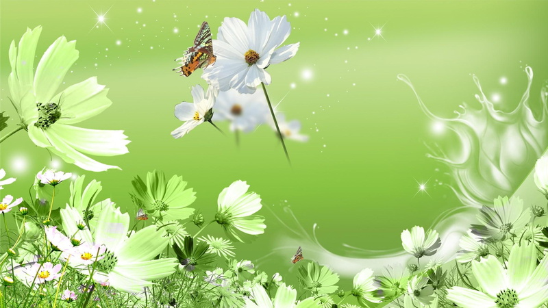 1080P, flowers, grass, daisies, fleurs, spring, blowing, green, wild flowers, breeze, butter, wind, garden, wild, papillon