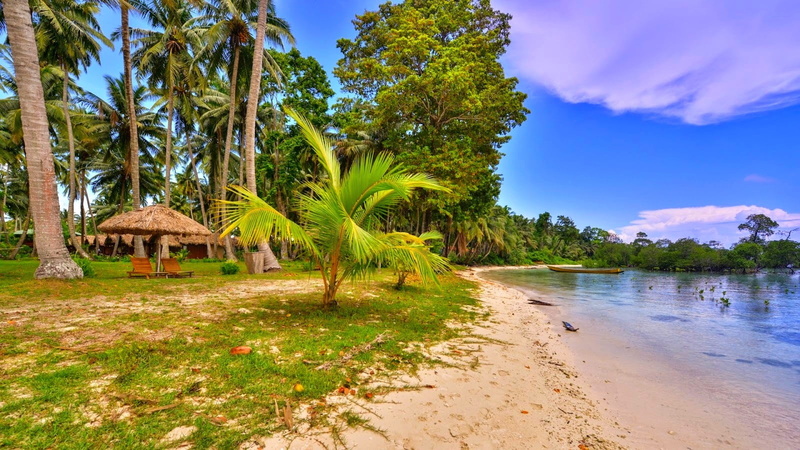 tranquility, coconut palm tree, tranquil scene, plant, scenics - nature, tropical climate, blue, palm, beach, chair, cloud - sky, 720P, beauty in nature