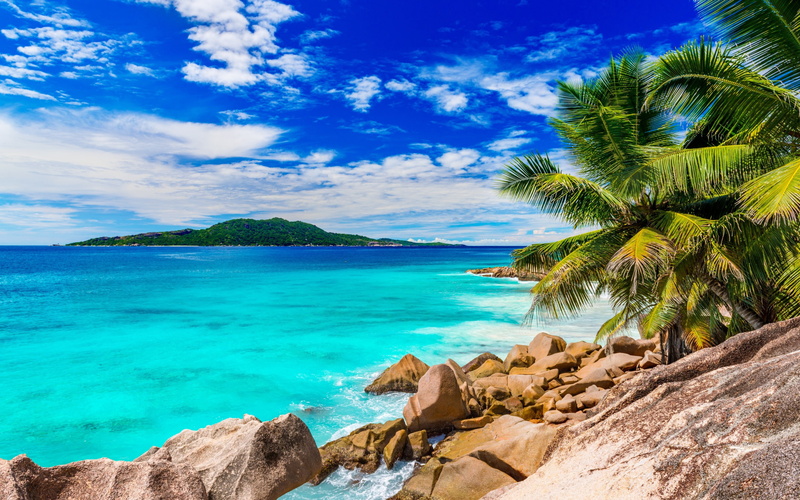 daytime, coconut, near, ocean, scenery, paradise, palms, shore, trees, tropical, beach, summer, Sea, water, sand, 2K