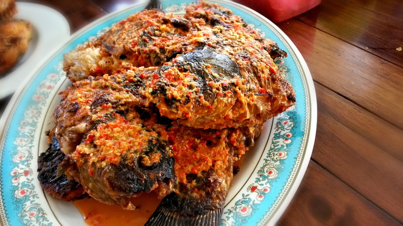 chicken meat, plate, hot, Chilli, tasty, crockery, asia, table, meat, close-up, Spicy, ready-to-eat, indonesian, serving size, snack, cuisine, traditional