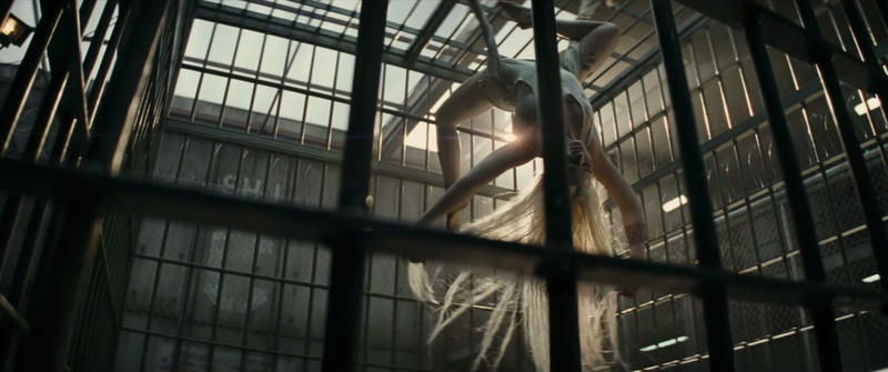 window, built structure, animal, metal, building, animal themes, architecture, prison cell, indoors, prison, day, 1080P, ceiling, sunlight, full frame