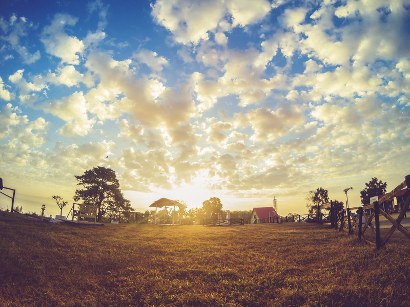 plant, day, beauty in nature, scenics - nature, tranquil scene, bangladesh, sunset, cloud - sky, no people, trees, environment, nature, outdoors, sunrise
