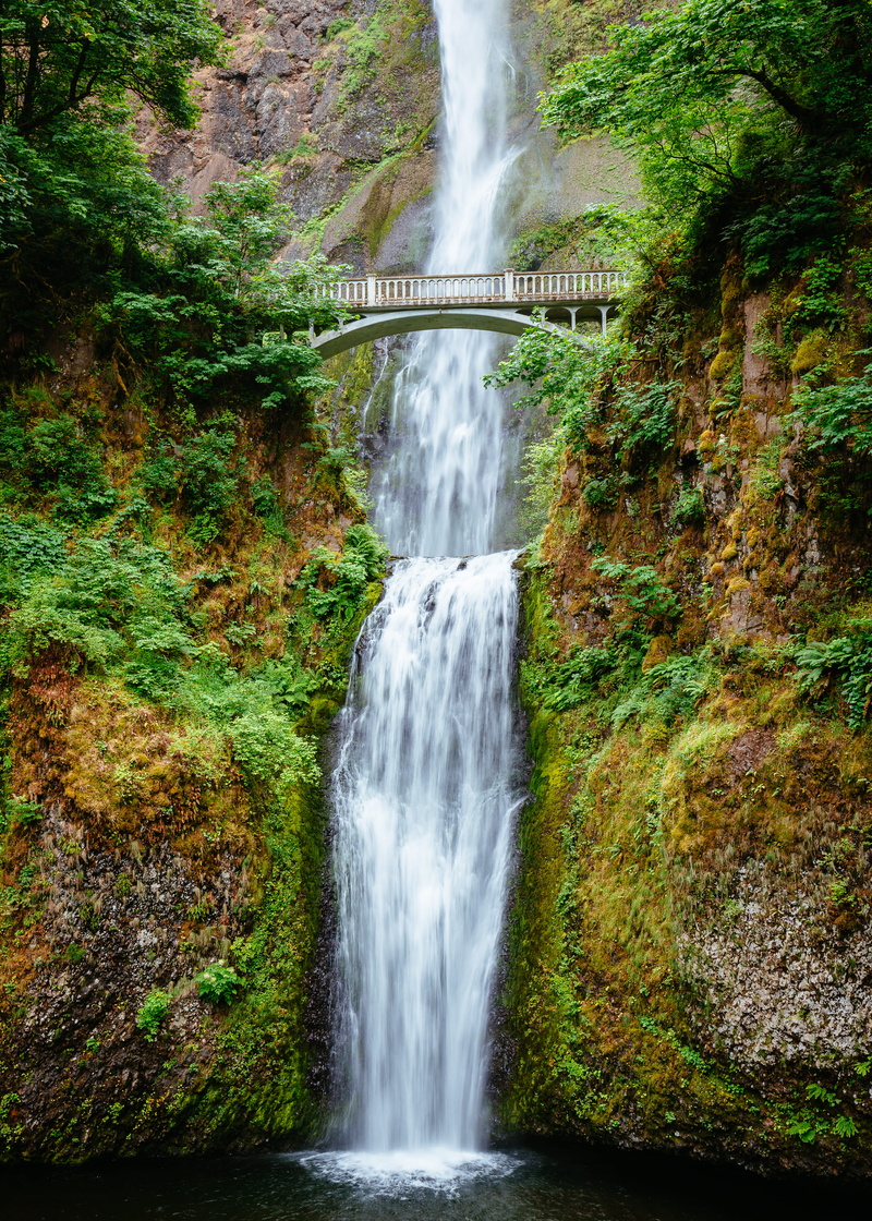 power in nature, green, connection, 5K, beauty in nature, architecture, day, oregon, no people, nature, blurred motion, forest, multnomah falls, arch bridge