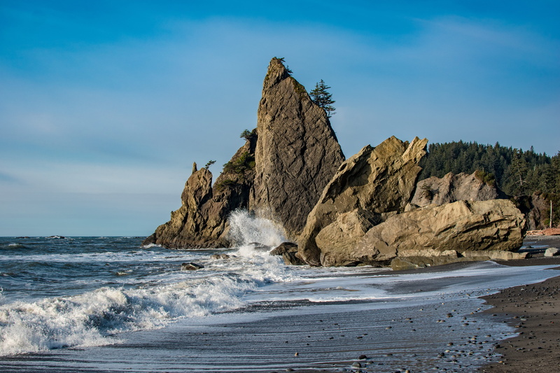 day, forest, beauty in nature, horizon over water, united states, breaking, ocean, land, water, wilderness, beach, pacific northwest, shore, aquatic sport