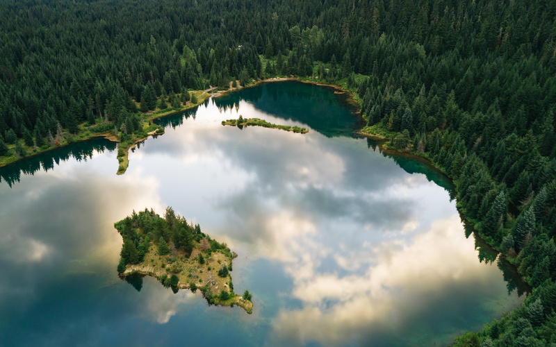 mavic, US, photography, tiny, United States, dji, Trees, leaf, water, Pacific Northwest, green, Pond, green leaf, nature, 4K, body, pro, aerial, blue
