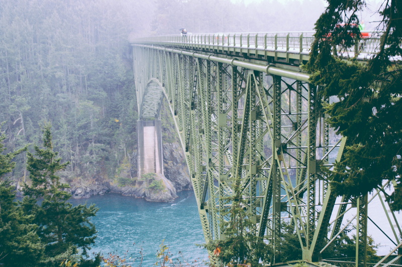 pnw, winter, tree, bridge - man made structure, washington, green, thanksgiving, beauty in nature, forest, trees, arch bridge, lake, plant, bridge, built structure