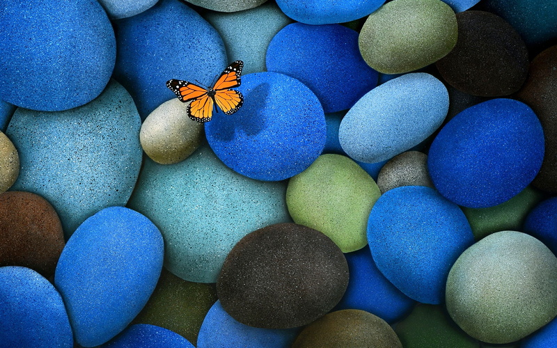 Mariposa, Azules, Monarca, 2K, Piedras