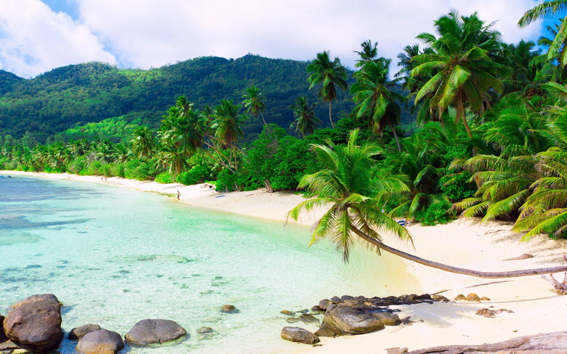 blanca, arena, mar, 2K, palmeras, tropical, playa
