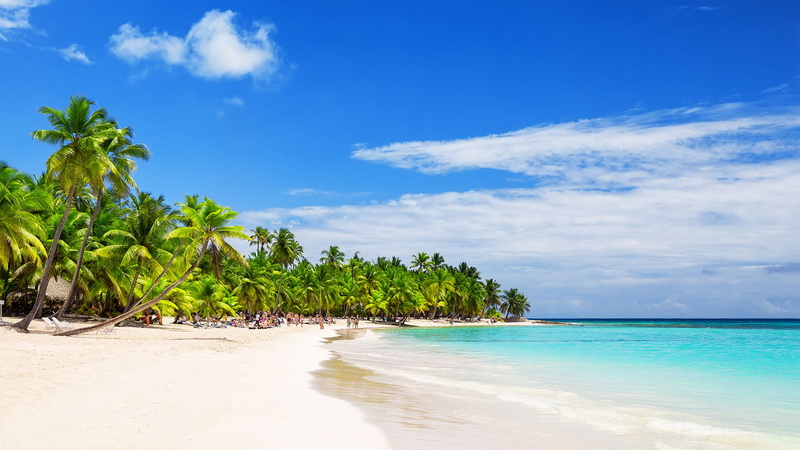beach, sandy, republic, tropical, blanca, trees, coconut, 2K, beaches, dominican, arena, hd, palm, white