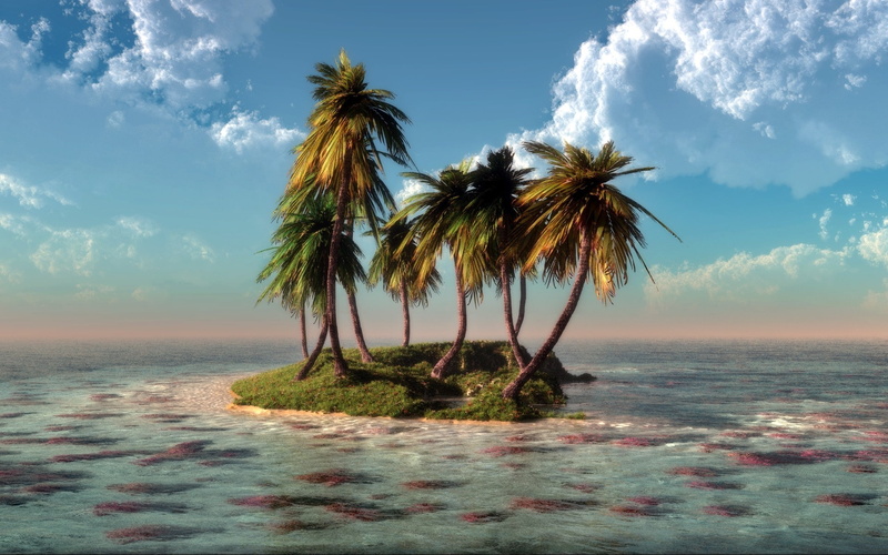 isla, 1080P, mar, naturaleza, palmeras