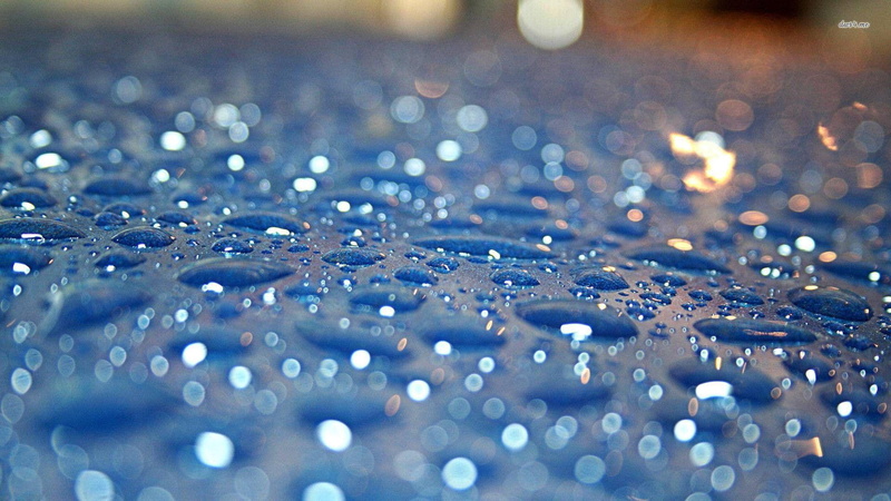 agua, gotas, lluvia, naturaleza, 1080P