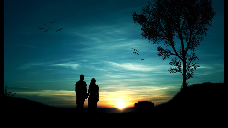 sunset, silueta, sky, outdoors, scenics - nature, pareja, two people, plant, togetherness, flying, 1080P, beauty in nature, silhouette, lifestyles, puesta