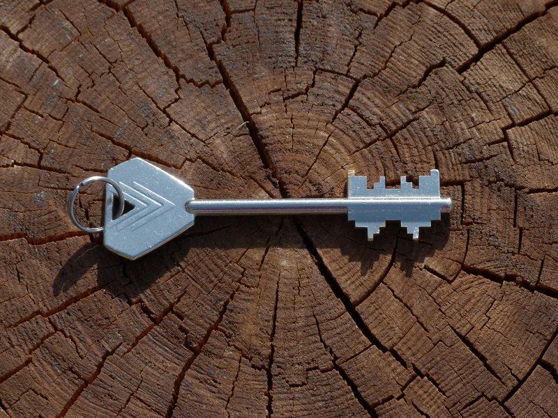 skeleton, wood - Material, textured, key collection, arid climate, make up, high angle view, blade, secret, cracked, outdoors, silver, locks to, shine
