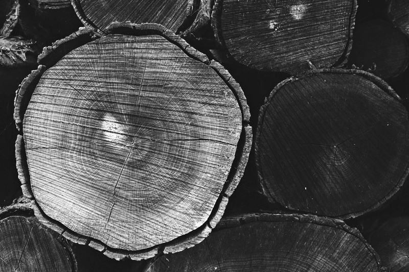 close-up, grayscale, forest work, tree ring, geometric shape, forest, timber, log, stack, slab, annual rings, wood, storage, backgrounds, design, woodpile