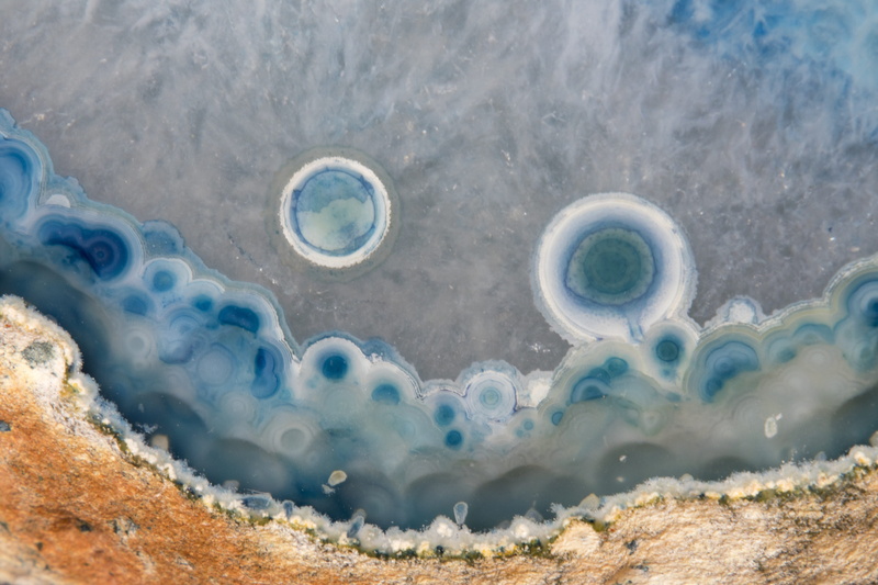marine, undersea, 5K, outdoors, brown, sea life, eye, blue, one animal, environment, underwater, circles, no people, geode, animals in the wild, sea, macro