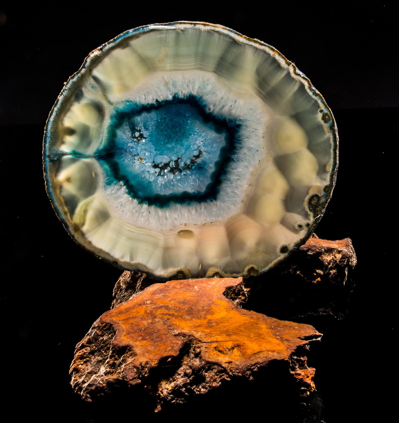 agate slice, 2K, animal themes, sea life, close up, jellyfish, no people, precious gem, animal wildlife, rock - object, animal, invertebrate, close-up