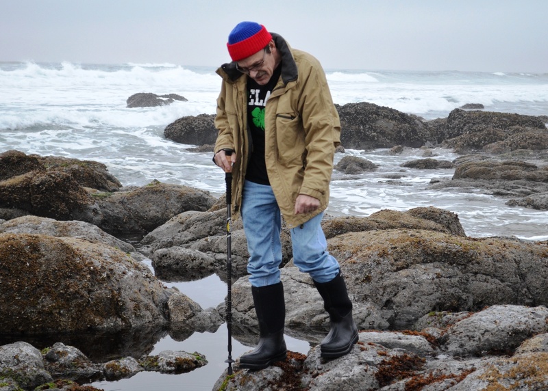 coastline, winter, combing, shoreline, men, full length, males, rocks, 4K, real people, land, leisure activity, ocean, lifestyles, coast, rock - object