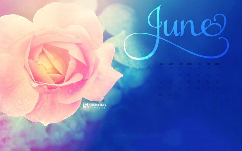 en, freshness, close-up, flower head, calendar, flowering plant, nature, no people, vulnerability, petal, june, 2K, fragility, inflorescence
