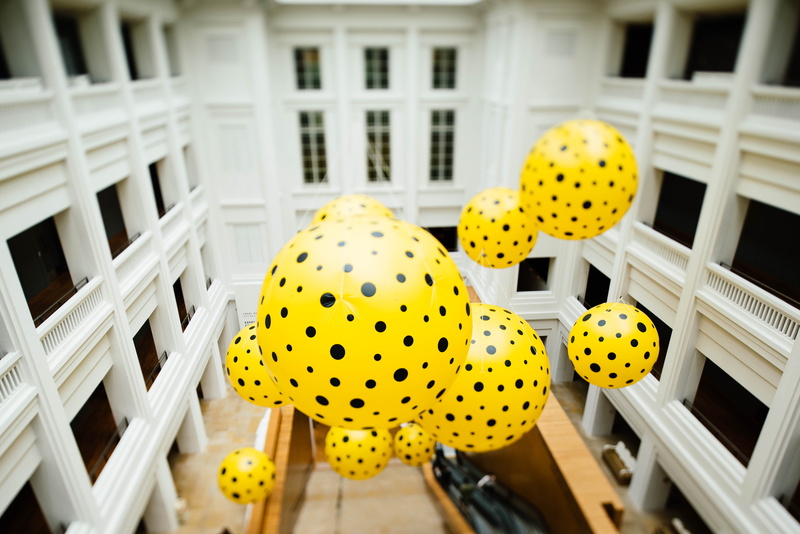 focus on foreground, photography, animal, nature, plant, outdoors, ceiling, animal wildlife, art, close-up, balcony, floating, hanging, aerial, polka, season